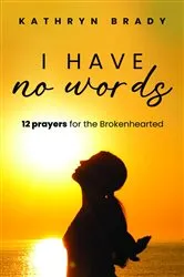 Book cover of I Have No Words by Kathryn Brady