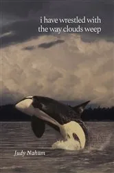 Book cover of i have wrestled with the way clouds weep by Judy Nahum