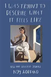 Book cover of I Was Trying to Describe What it Feels Like by Noy Holland