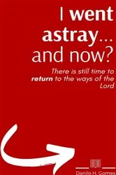 Book cover of I went astray... and Now by Danilo H. Gomes