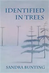 Book cover of Identified In Trees by Sande Bunting