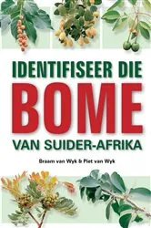 Book cover of Identifiseer die Bome van Suider-Afrika by Braam van Wyk