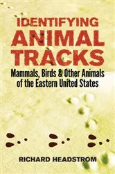 Book cover of Identifying Animal Tracks by Richard Headstrom
