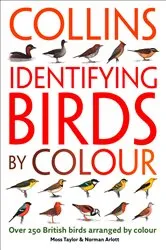 Book cover of Identifying Birds by Colour by Unknown