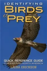 Book cover of Identifying Birds of Prey by Laura Erickson