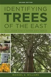 Book cover of Identifying Trees of the East (2nd ed.) by Unknown