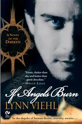Book cover of If Angels Burn by Lynn Viehl