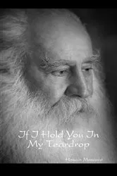 Book cover of If I Hold You In My Teardrop by Hosain Mosavat