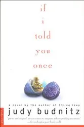 Book cover of If I Told You Once by Judy Budnitz