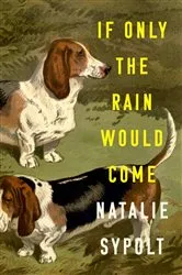 Book cover of If Only the Rain Would Come by Natalie Sypolt