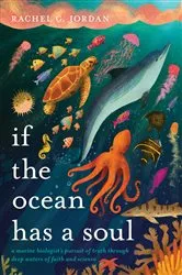 Book cover of If the Ocean Has a Soul by Rachel G. Jordan