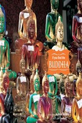 Book cover of If You Find the Buddha by Jesse Kalisher