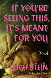 Book cover of If You're Seeing This, It's Meant for You by Leigh Stein