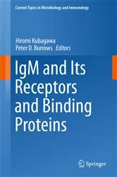 Book cover of IgM and Its Receptors and Binding Proteins by Hiromi Kubagawa