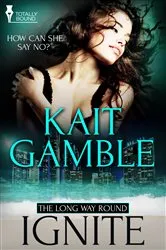 Book cover of Ignite by Donna Grant