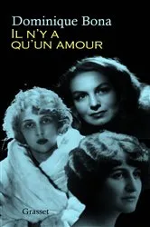 Book cover of Il n'y a qu'un amour by Dominique Bona
