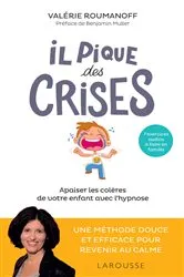 Book cover of Il pique des crises by Valérie Roumanoff