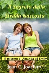 Book cover of Il segreto della strada nascosta by Jean Joachim