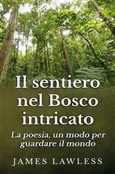 Book cover of Il Sentiero Nel Bosco Intricato by James Lawless