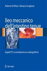 Book cover of Ileo meccanico dell'intestino tenue by Roberto Di Mizio