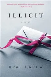 Book cover of Illicit by Cathy Clamp