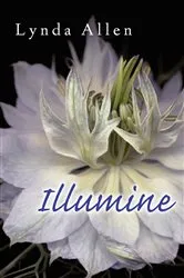 Book cover of Illumine by Lynda Allen