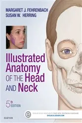 Book cover of Illustrated Anatomy of the Head and Neck - E-Book (5th ed.) by Fehrenbach RDH, MS, Margaret J.