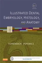 Book cover of Illustrated Dental Embryology, Histology, and Anatomy - E-Book (4th ed.) by Unknown