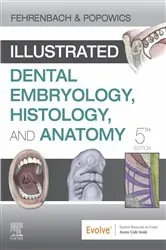 Book cover of Illustrated Dental Embryology, Histology, and Anatomy E-Book (5th ed.) by Fehrenbach RDH, MS, Margaret J.