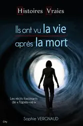 Book cover of Ils ont vu la vie après la mort by Sophie Vergnaud