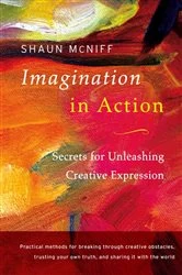 Book cover of Imagination in Action by Shaun McNiff