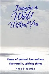 Book cover of Imagine a World Without You by Anne Pincombe