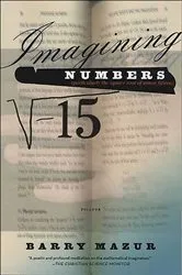 Book cover of Imagining Numbers by Unknown