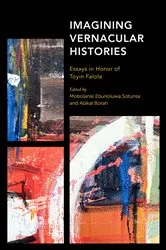 Book cover of Imagining Vernacular Histories by Mobolanle Ebunoluwa Sotunsa