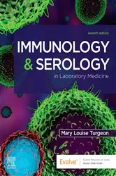 Book cover of Immunology & Serology in Laboratory Medicine - E-Book (7th ed.) by Turgeon EdD, MLS(ASCP)CM, Mary Louise