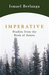 Book cover of Imperative by Ismael Berlanga