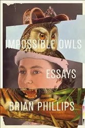 Book cover of Impossible Owls by Brian Phillips