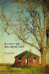 Book cover of In a City You Will Never Visit by Young Smith