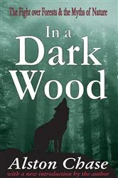 Book cover of In a Dark Wood by Unknown