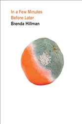 Book cover of In a Few Minutes Before Later by Brenda Hillman