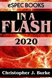 Book cover of In a Flash 2020 by Christopher J. Burke