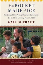 Book cover of In a Rocket Made of Ice by Gail Gutradt