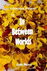 Book cover of In Between Worlds by Ayda Önder