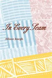 Book cover of In Every Seam by Allison Joseph