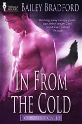 Book cover of In from the Cold by Nora Roberts