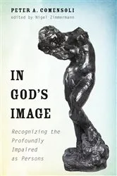 Book cover of In God's Image by Tomer Persico