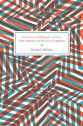 Book cover of In Letters of Blood and Fire by George Caffentzis