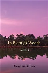 Book cover of In Plenty's Woods by Brendan Galvin