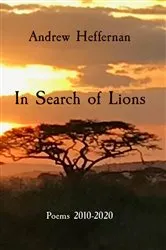 Book cover of In Search of Lions by Unknown