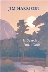 Book cover of In Search of Small Gods by Unknown